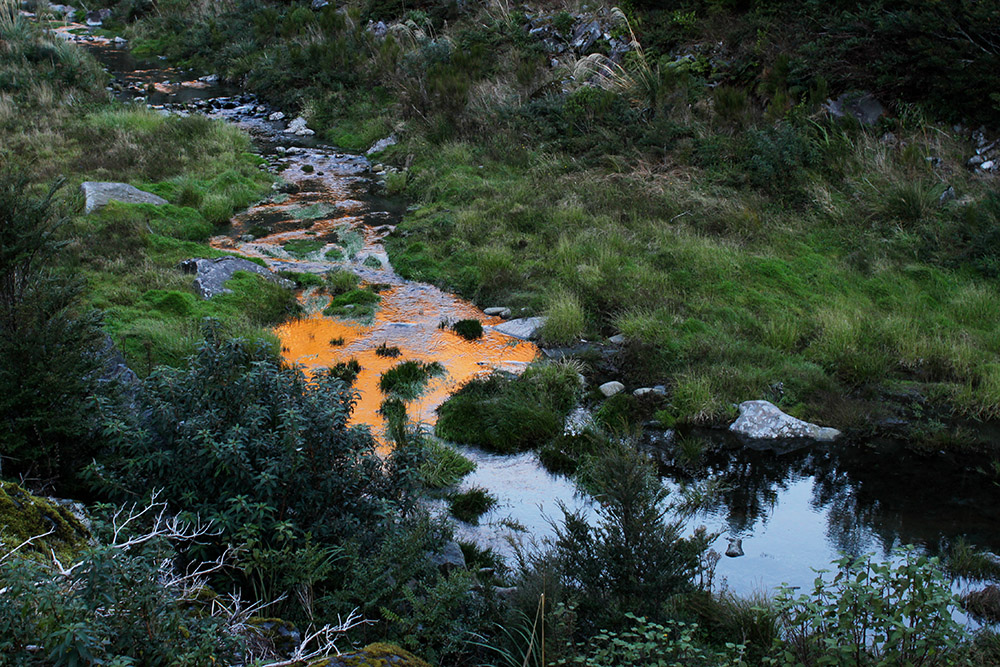 Fluß reflektiert Sonnenuntergang - Tolle Fotos von Neuseelands vielfältiger Landschaft und Flora und Fauna vom Fotografen und Grafikdesigner Markus Wülbern
